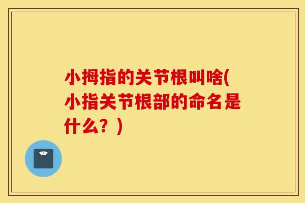 小拇指的关节根叫啥(小指关节根部的命名是什么?) 小拇指的关节根叫啥(小指关节根部的命名是什么?)