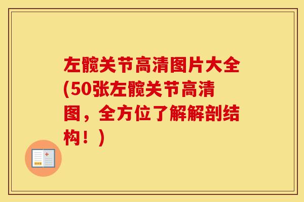左髋关节高清图片大全(50张左髋关节高清图,全方位了解解剖结构!) 左髋关节高清图片大全(50张左髋关节高清图,全方位了解解剖结构!)