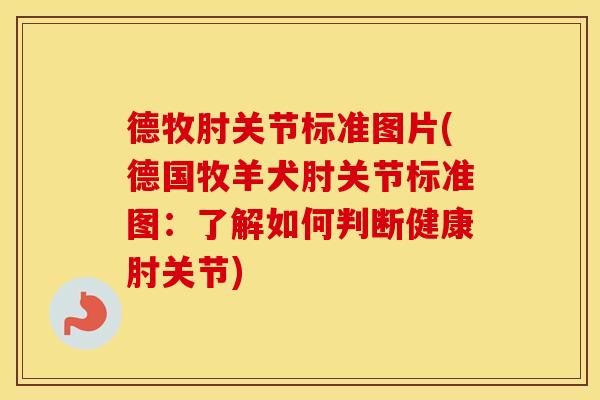 德牧肘关节标准图片(德国牧羊犬肘关节标准图:了解如何判断健康肘关节) 德牧肘关节标准图片(德国牧羊犬肘关节标准图:了解如何判断健康肘关节)