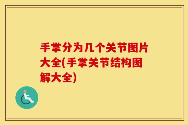 手掌分为几个关节图片大全(手掌关节结构图解大全) 手掌分为几个关节图片大全(手掌关节结构图解大全)