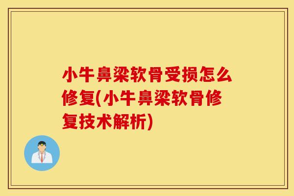 小牛鼻梁软骨受损怎么修复(小牛鼻梁软骨修复技术解析)
