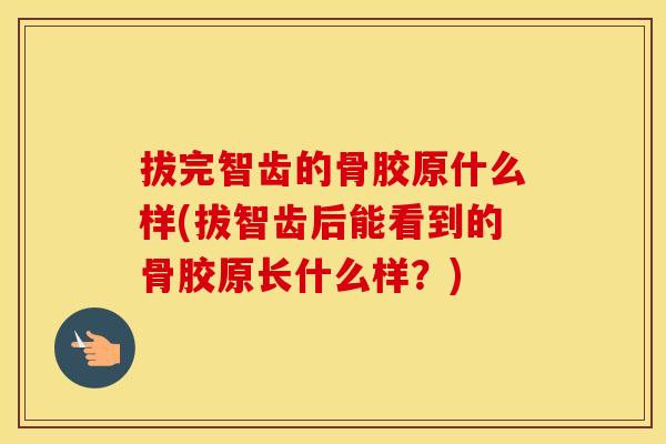 拔完智齿的骨胶原什么样(拔智齿后能看到的骨胶原长什么样？)