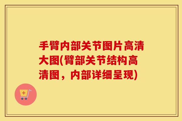 手臂内部关节图片高清大图(臂部关节结构高清图，内部详细呈现)
