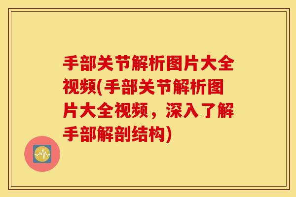 手部关节解析图片大全视频(手部关节解析图片大全视频，深入了解手部解剖结构)