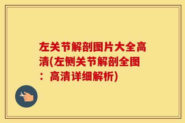 左关节解剖图片大全高清(左侧关节解剖全图:高清详细解析) 左关节解剖图片大全高清(左侧关节解剖全图:高清详细解析)
