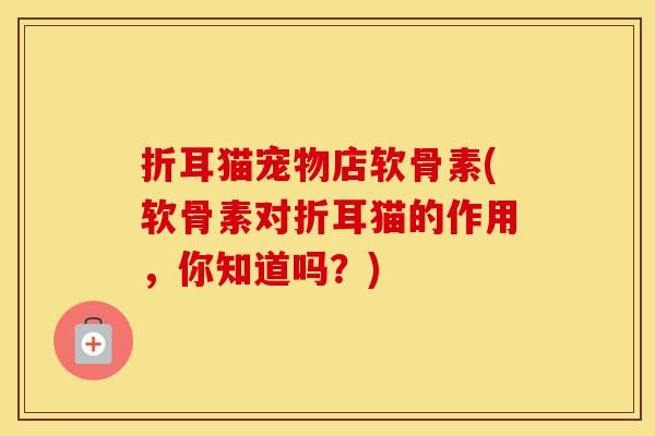 折耳猫宠物店软骨素(软骨素对折耳猫的作用，你知道吗？)