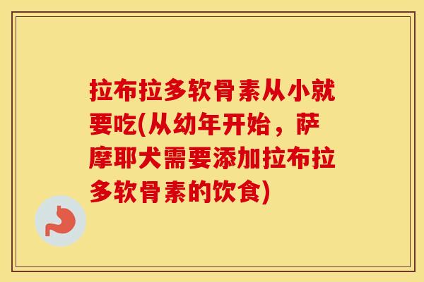 拉布拉多软骨素从小就要吃(从幼年开始,萨摩耶犬需要添加拉布拉多软骨素的饮食) 拉布拉多软骨素从小就要吃(从幼年开始,萨摩耶犬需要添加拉布拉多软骨素的饮食)