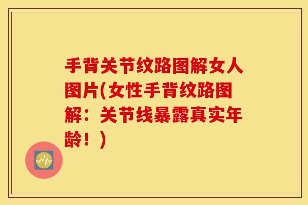 手背关节纹路图解女人图片(女性手背纹路图解:关节线暴露真实年龄!) 手背关节纹路图解女人图片(女性手背纹路图解:关节线暴露真实年龄!)