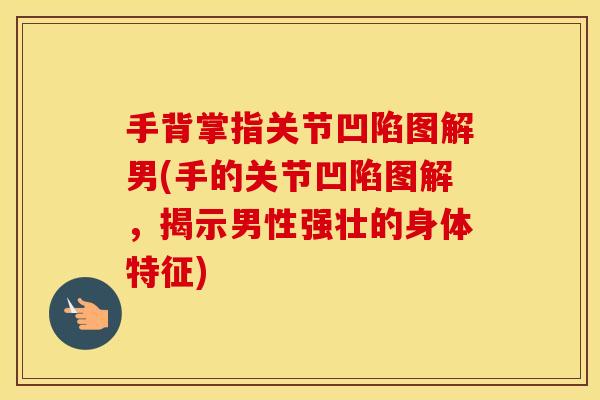 手背掌指关节凹陷图解男(手的关节凹陷图解，揭示男性强壮的身体特征)