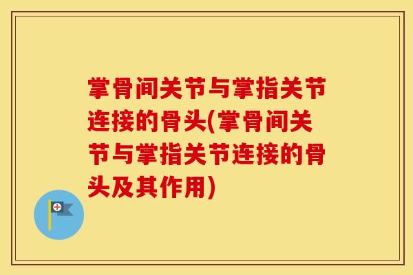 掌骨间关节与掌指关节连接的骨头(掌骨间关节与掌指关节连接的骨头及其作用)