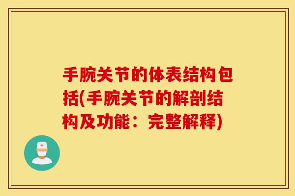 手腕关节的体表结构包括(手腕关节的解剖结构及功能：完整解释)