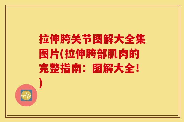 拉伸胯关节图解大全集图片(拉伸胯部肌肉的完整指南:图解大全!) 拉伸胯关节图解大全集图片(拉伸胯部肌肉的完整指南:图解大全!)