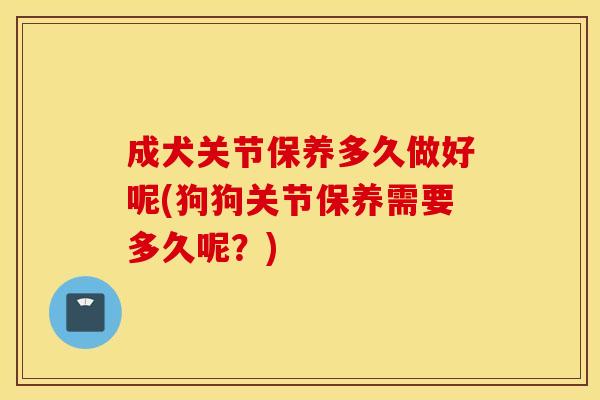 成犬关节保养多久做好呢(狗狗关节保养需要多久呢？)