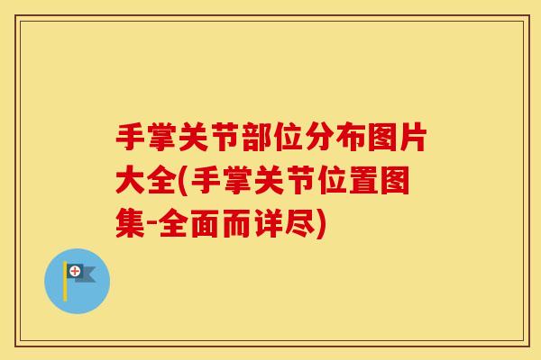 手掌关节部位分布图片大全(手掌关节位置图集-全面而详尽)