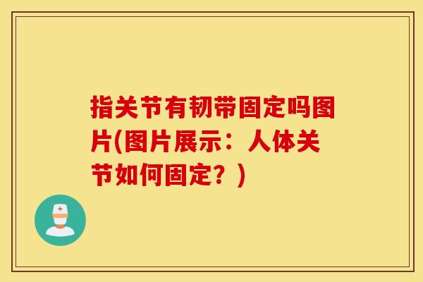 指关节有韧带固定吗图片(图片展示:人体关节如何固定?) 指关节有韧带固定吗图片(图片展示:人体关节如何固定?)