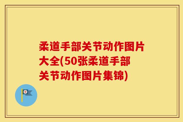 柔道手部关节动作图片大全(50张柔道手部关节动作图片集锦)