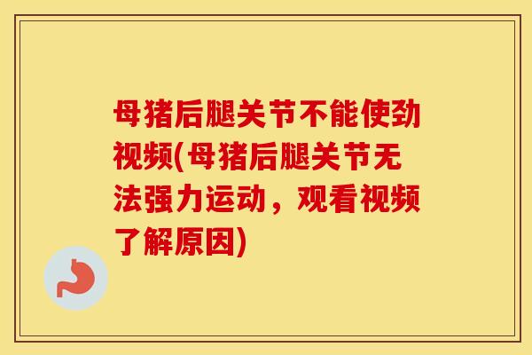 母猪后腿关节不能使劲视频(母猪后腿关节无法强力运动,观看视频了解原因) 母猪后腿关节不能使劲视频(母猪后腿关节无法强力运动,观看视频了解原因)