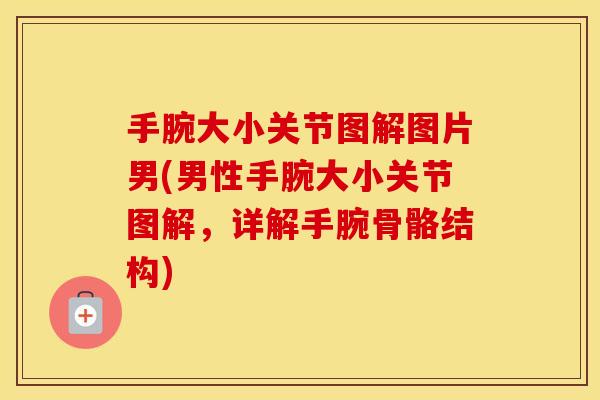 手腕大小关节图解图片男(男性手腕大小关节图解，详解手腕骨骼结构)