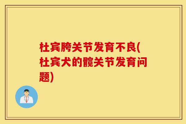 杜宾胯关节发育不良(杜宾犬的髋关节发育问题) 杜宾胯关节发育不良(杜宾犬的髋关节发育问题)