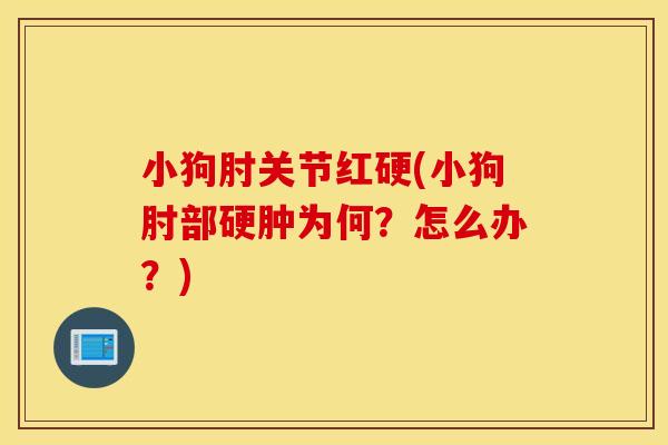 小狗肘关节红硬(小狗肘部硬肿为何?怎么办?) 小狗肘关节红硬(小狗肘部硬肿为何?怎么办?)