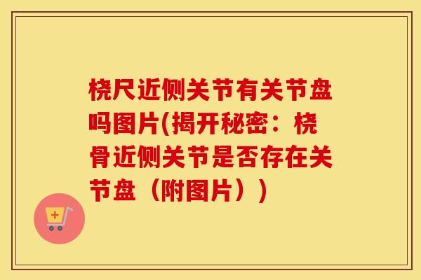 桡尺近侧关节有关节盘吗图片(揭开秘密:桡骨近侧关节是否存在关节盘(附图片)) 桡尺近侧关节有关节盘吗图片(揭开秘密:桡骨近侧关节是否存在关节盘(附图片))