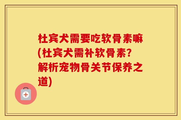 杜宾犬需要吃软骨素嘛(杜宾犬需补软骨素?解析宠物骨关节保养之道) 杜宾犬需要吃软骨素嘛(杜宾犬需补软骨素?解析宠物骨关节保养之道)