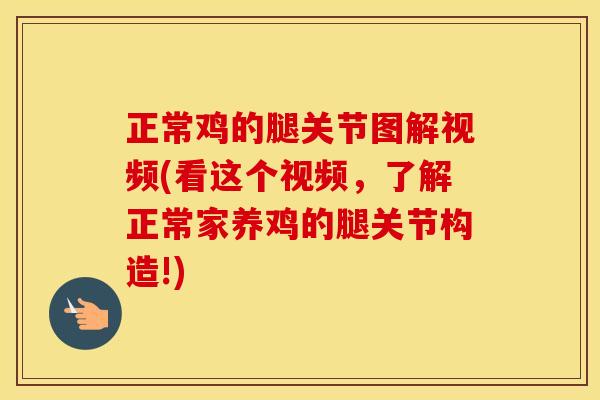 正常鸡的腿关节图解视频(看这个视频,了解正常家养鸡的腿关节构造!) 正常鸡的腿关节图解视频(看这个视频,了解正常家养鸡的腿关节构造!)