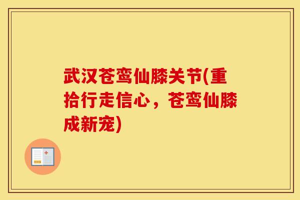 武汉苍鸾仙膝关节(重拾行走信心,苍鸾仙膝成新宠) 武汉苍鸾仙膝关节(重拾行走信心,苍鸾仙膝成新宠)