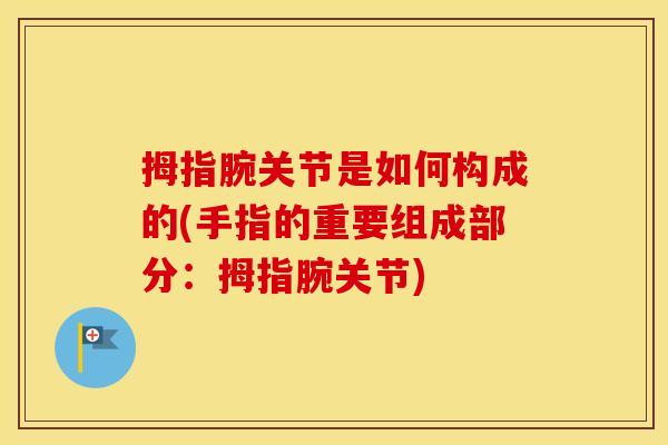拇指腕关节是如何构成的(手指的重要组成部分:拇指腕关节) 拇指腕关节是如何构成的(手指的重要组成部分:拇指腕关节)