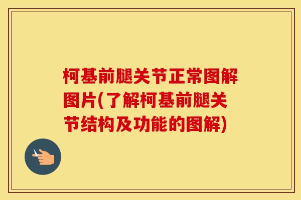 柯基前腿关节正常图解图片(了解柯基前腿关节结构及功能的图解)