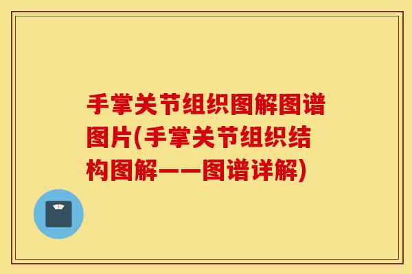 手掌关节组织图解图谱图片(手掌关节组织结构图解——图谱详解) 手掌关节组织图解图谱图片(手掌关节组织结构图解——图谱详解)