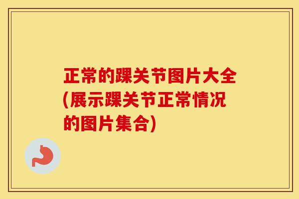 正常的踝关节图片大全(展示踝关节正常情况的图片集合) 正常的踝关节图片大全(展示踝关节正常情况的图片集合)