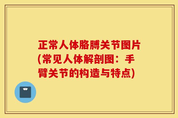 正常人体胳膊关节图片(常见人体解剖图:手臂关节的构造与特点) 正常人体胳膊关节图片(常见人体解剖图:手臂关节的构造与特点)