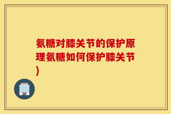 氨糖对膝关节的保护原理氨糖如何保护膝关节)