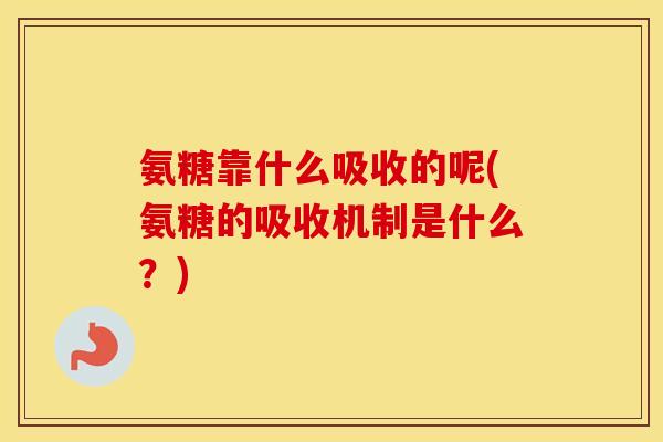 氨糖靠什么吸收的呢(氨糖的吸收机制是什么?) 氨糖靠什么吸收的呢(氨糖的吸收机制是什么?)