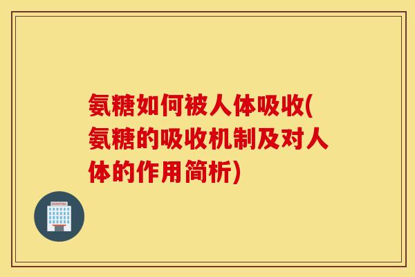 氨糖如何被人体吸收(氨糖的吸收机制及对人体的作用简析) 氨糖如何被人体吸收(氨糖的吸收机制及对人体的作用简析)