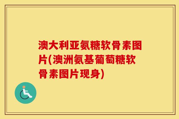 澳大利亚氨糖软骨素图片(澳洲氨基葡萄糖软骨素图片现身)
