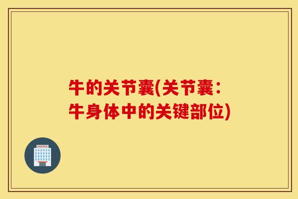 牛的关节囊(关节囊:牛身体中的关键部位) 牛的关节囊(关节囊:牛身体中的关键部位)