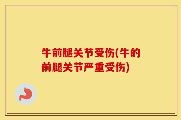 牛前腿关节受伤(牛的前腿关节严重受伤) 牛前腿关节受伤(牛的前腿关节严重受伤)