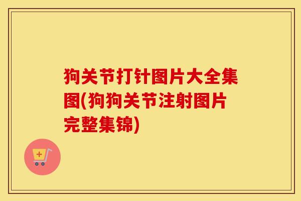狗关节打针图片大全集图(狗狗关节注射图片完整集锦) 狗关节打针图片大全集图(狗狗关节注射图片完整集锦)