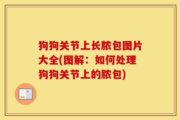 狗狗关节上长脓包图片大全(图解：如何处理狗狗关节上的脓包)