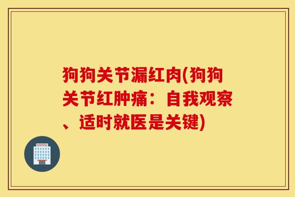 狗狗关节漏红肉(狗狗关节红肿痛:自我观察、适时就医是关键) 狗狗关节漏红肉(狗狗关节红肿痛:自我观察、适时就医是关键)