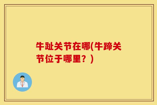 牛趾关节在哪(牛蹄关节位于哪里?) 牛趾关节在哪(牛蹄关节位于哪里?)