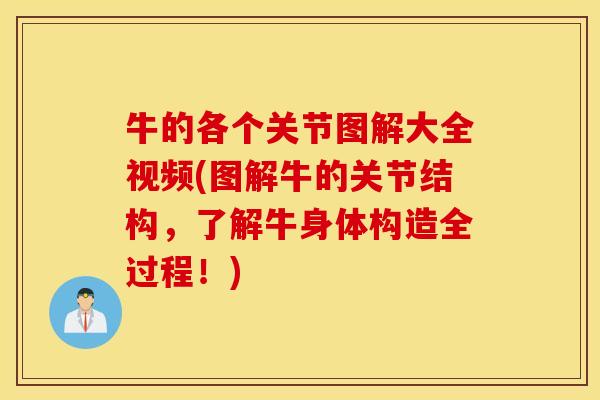 牛的各个关节图解大全视频(图解牛的关节结构,了解牛身体构造全过程!) 牛的各个关节图解大全视频(图解牛的关节结构,了解牛身体构造全过程!)
