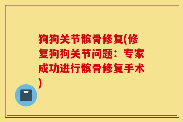 狗狗关节髌骨修复(修复狗狗关节问题:专家成功进行髌骨修复手术) 狗狗关节髌骨修复(修复狗狗关节问题:专家成功进行髌骨修复手术)