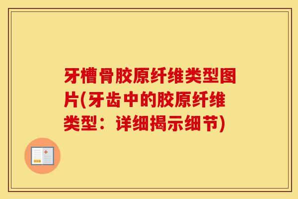 牙槽骨胶原纤维类型图片(牙齿中的胶原纤维类型:详细揭示细节) 牙槽骨胶原纤维类型图片(牙齿中的胶原纤维类型:详细揭示细节)