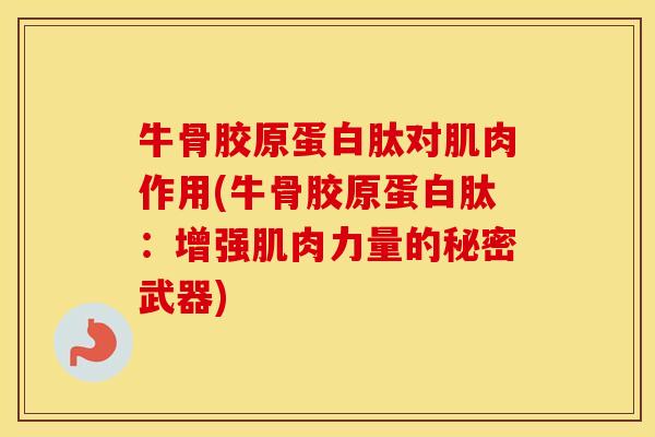 牛骨胶原蛋白肽对肌肉作用(牛骨胶原蛋白肽:增强肌肉力量的秘密武器) 牛骨胶原蛋白肽对肌肉作用(牛骨胶原蛋白肽:增强肌肉力量的秘密武器)