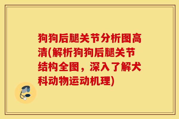 狗狗后腿关节分析图高清(解析狗狗后腿关节结构全图,深入了解犬科动物运动机理) 狗狗后腿关节分析图高清(解析狗狗后腿关节结构全图,深入了解犬科动物运动机理)