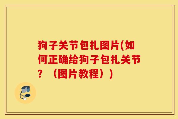 狗子关节包扎图片(如何正确给狗子包扎关节?(图片教程)) 狗子关节包扎图片(如何正确给狗子包扎关节?(图片教程))