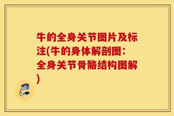 牛的全身关节图片及标注(牛的身体解剖图:全身关节骨骼结构图解) 牛的全身关节图片及标注(牛的身体解剖图:全身关节骨骼结构图解)